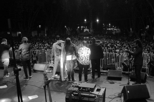 IsladeMaipo12